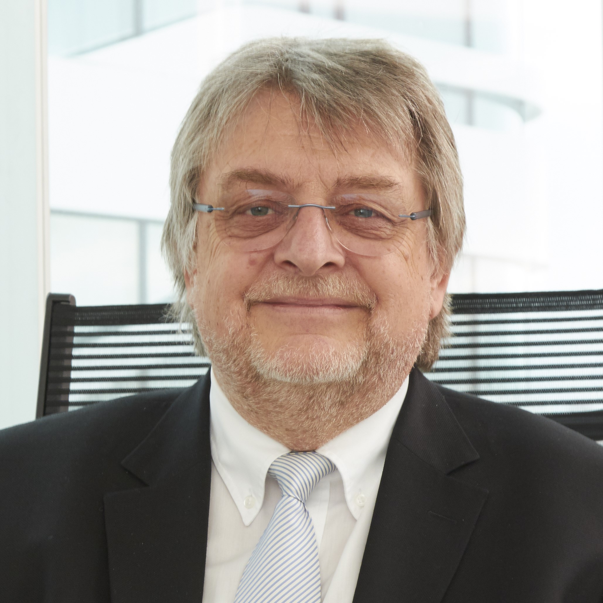 Prof. Dr. Horst Domdey